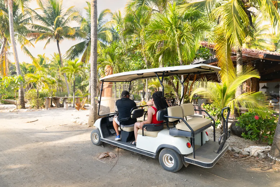 Carrito de golf con conductor del estate bajo las palmeras